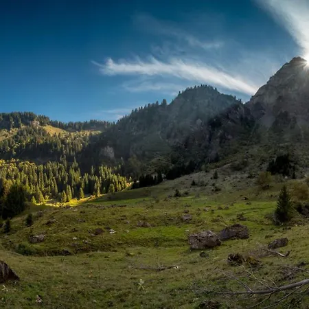 Alpstuga Nid Zut